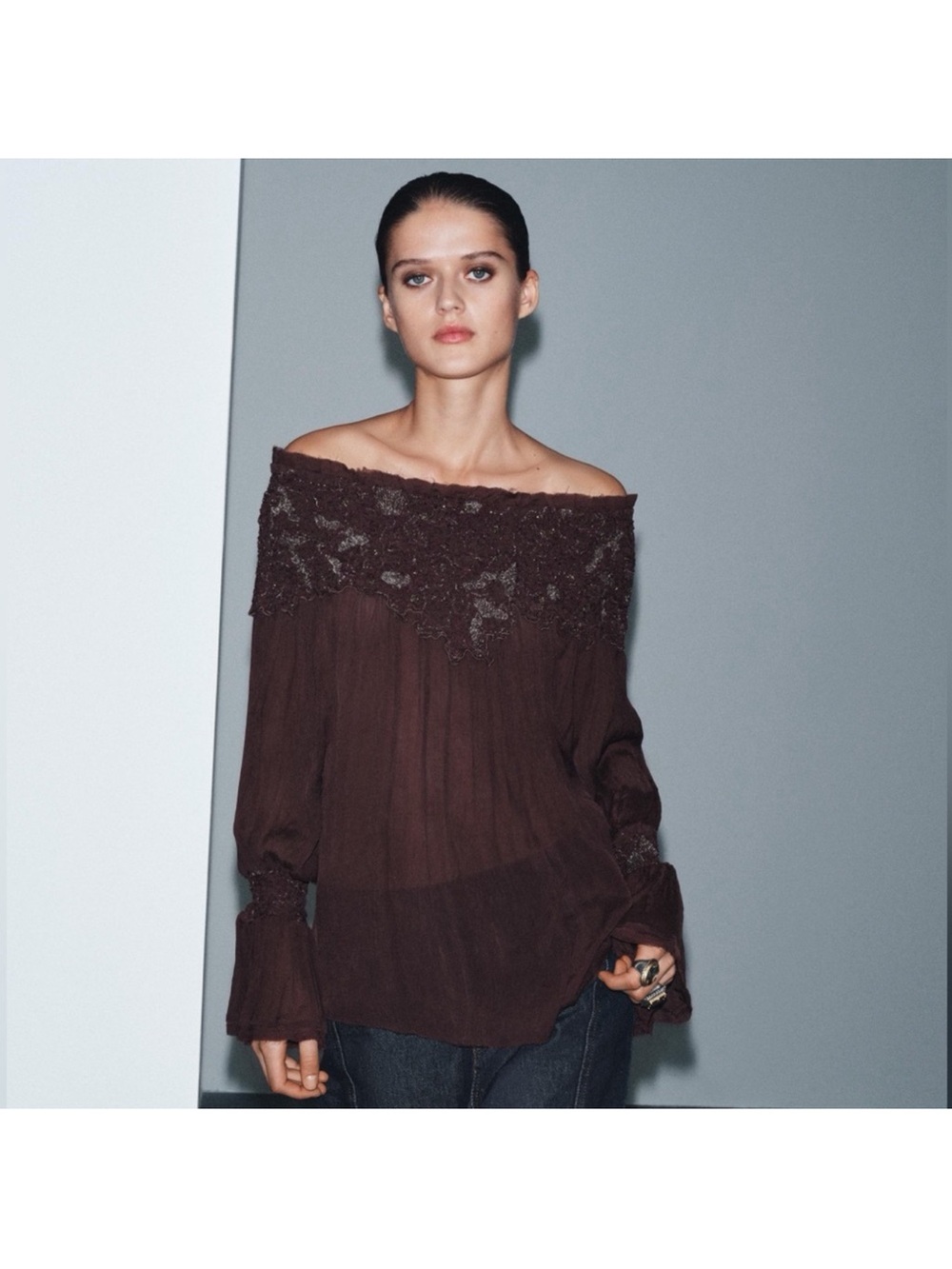 Zara Limited Edition Embroidered Dark Brown Off-Shoulder Blouse
